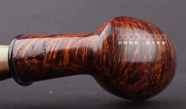 ������ʦTODD M.JOHNSON Neptune����ʯ�ľ�ֹ��̶�TN08-6