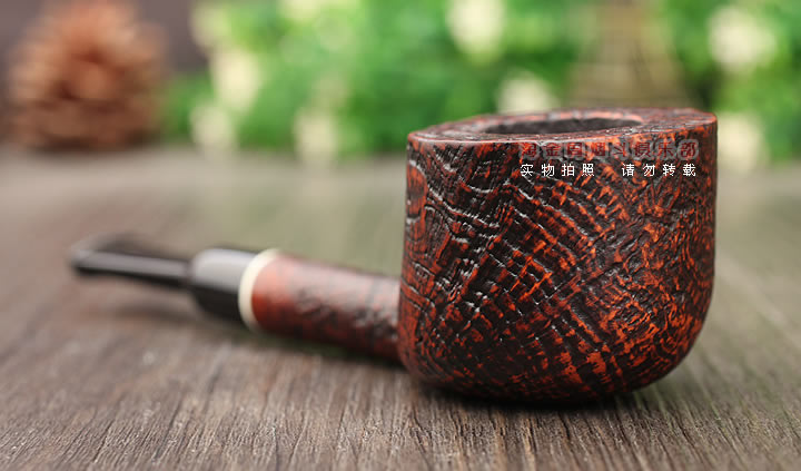  Vitaleάʯľ̶ ɫɰ04-2