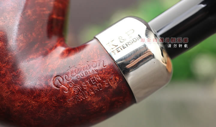 �������˵�ɭPeterson systemʯ�ľ�̶� ϵͳ������317-7